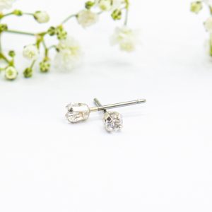 Silver Crystal Stud Earrings