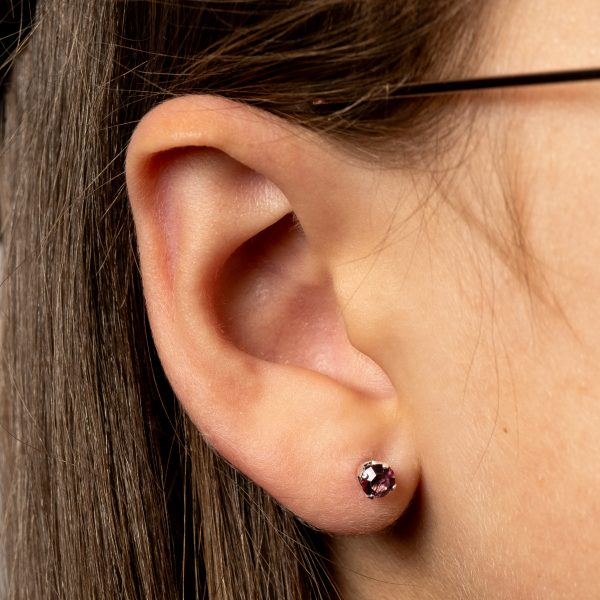 February Birthstone Earrings - February Birthstone ES2