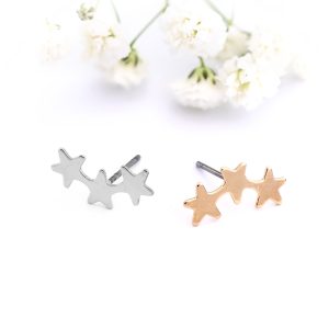 Gold / Silver Star Stud Earrings