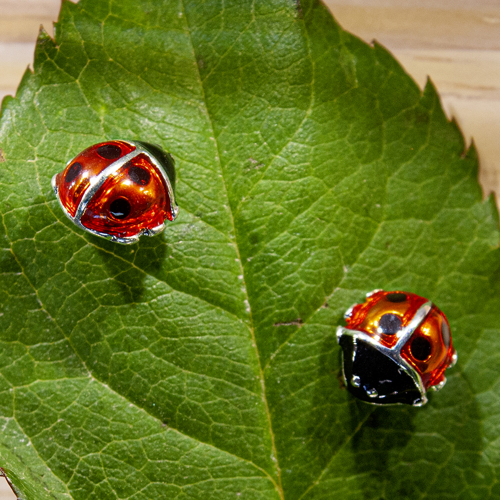 Ladybird Stud Earrings - IMG 0523