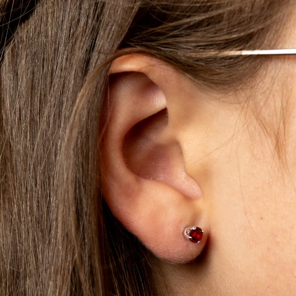 January Birthstone Earrings - January Birthstone ES1