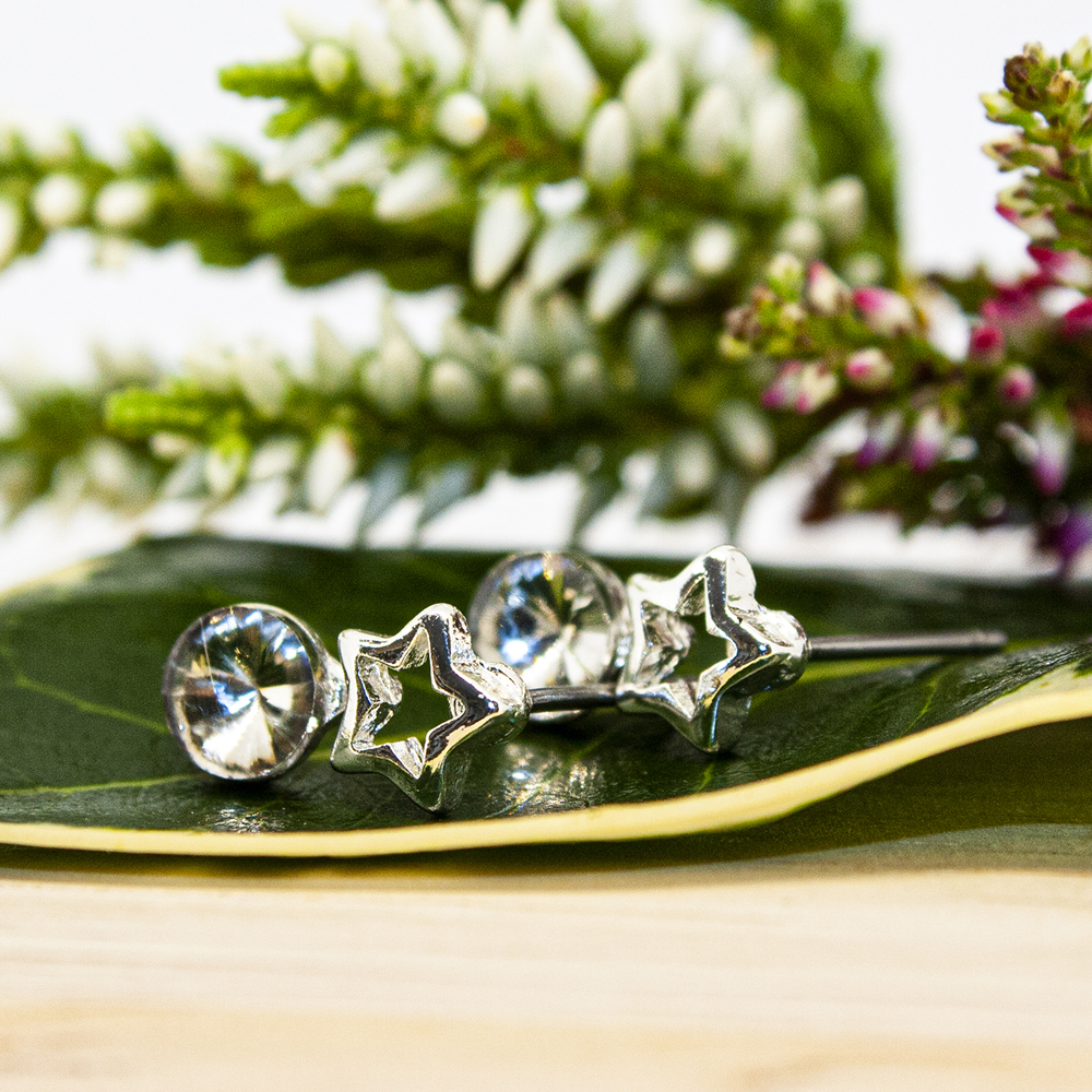 Silver Star Crystal Stud Earrings - Silver Star Crystal Stud Earrings ES61 3