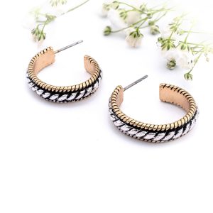 Elegant silver and gold hoop earrings