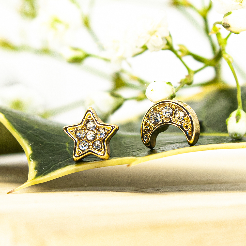 Silver / Gold Encrusted Star and Moon Earrings - Gold Encrusted Star and Moon Earrings ES113 2