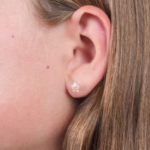 Silver AB Star Screw Back Studs
