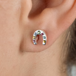 Colour Pop Crystal Horseshoe Stud Earrings